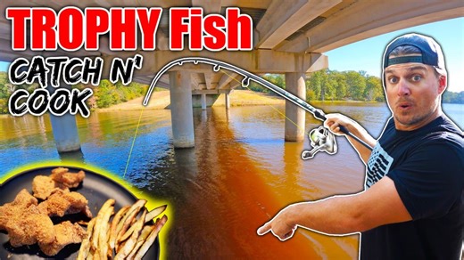 Trophy fish surprise: caught and eaten during outing