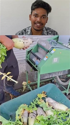 Radish cleaning machine 😨 #shorts #ungalsethu