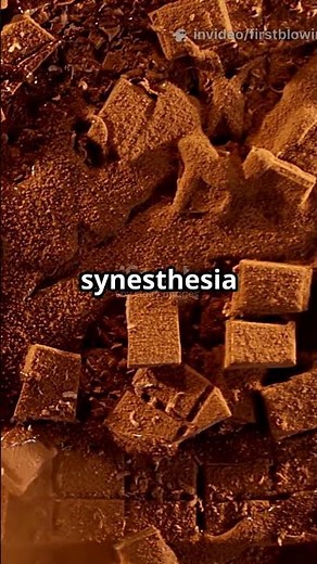 🧠 Your Brain Can Taste Numbers — Synesthesia Explained