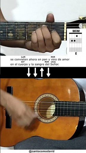 Una espiga dorada por el sol - Letra y acordes (Tutorial Guitarra) #6 #acordes #Short #cover