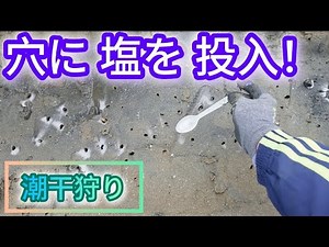 【採れるコツ】潮干狩りでマテ貝採りの際、コレを意識していたら、たくさん採れます！先人の知恵ですな。潮干狩りをするならマテ貝採り。 #北九州釣り #マテ貝 #潮干狩り #マテ貝掘り