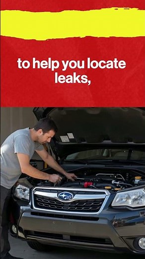 Know The Early Warning Signs Of Common Forester Problems