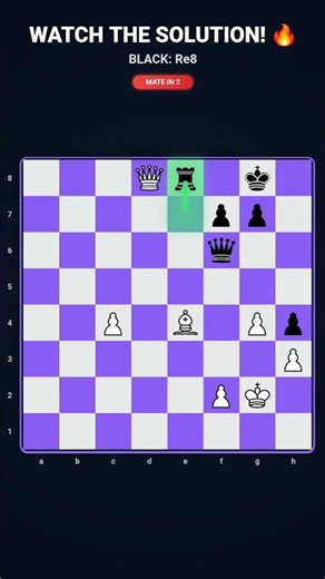 GENIUS LEVEL! 🧠 #shorts