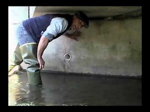 Mink Trapping - Bottom Edge