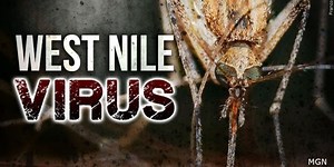 Horse diagnosed with West Nile virus