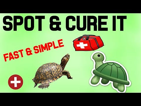 HOW TO SPOT & CURE TURTLE SHELL ROT! NEW WAYS!