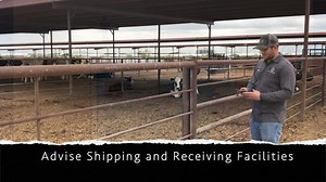 3.5K views · 36 reactions | Livestock Load Management You've Always Known You Need; https://www.livestocktransportnation.com/producer-freight-tools | American Cattlemen | Facebook