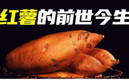 改写中国历史进程的食物：红薯的前世今生