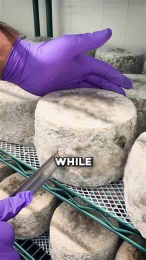 The Truth About How Blue Cheese Is Made #newyork #fact #fyp #amazing | how blue cheese is made