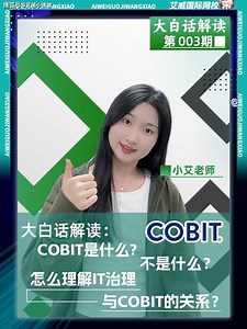 解锁 COBIT 神秘面纱 | 企业 IT 治理关键全知晓！