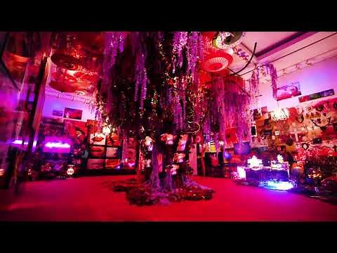 蜷川実花展－現実と虚構の間に－東京会場 プロモーションビデオ（会場内）15秒ver.