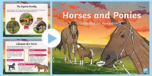 Horse and Pony Information PowerPoint