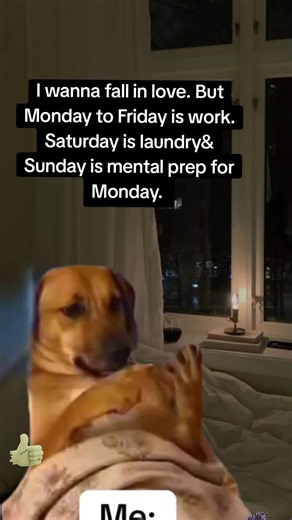 I Wanna Fall in Love But Monday to Friday Is Work – Relatable Office Humor