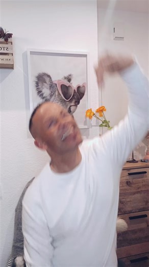 Frohe Weihnachten: Festlichkeiten und Traditionen