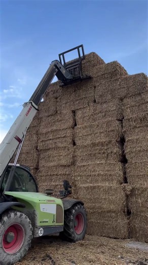 Telescopic Handler: The Ultimate forklifting and Hoisting Solution