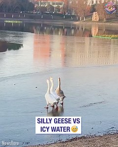 75K views · 268 reactions | Mom: "Don't do that!" Me: "Challenge accepted!"  | 7-Second Riddles | Facebook