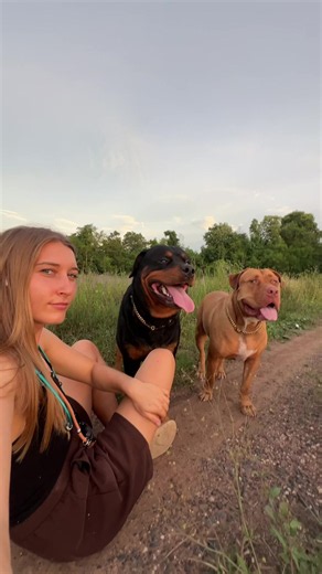 Myko's Wonder: How Three Guardians Show Different Personalities