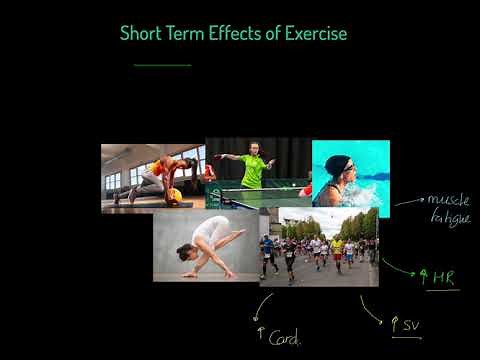 Short Term Effects of Exercise Edexcel GCSE PE