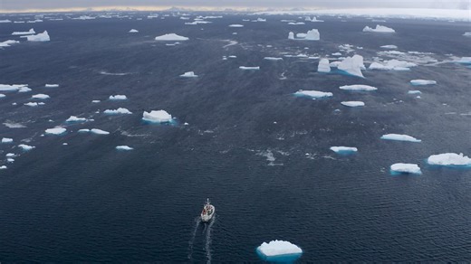 BBC Two - Expedition Killer Whale - Lessons from killer whales and climate change