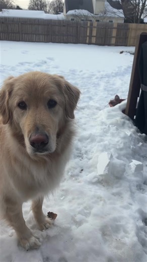 julie cassetty (@juliecassetty)’s videos with Happy Dog - DJ Moody