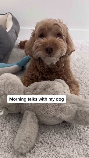 Talking Labradoodle: Conversations with my Dog