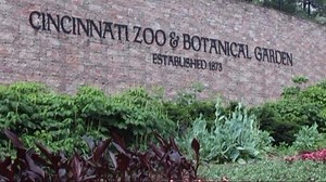 Cincinnati Zoo to start 'Home Safari Facebook Live' to keep kids learning during their time off