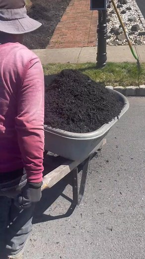#mulching #wheelbarrow #brentwood #blackmulch | Frederick Roberts | Facebook