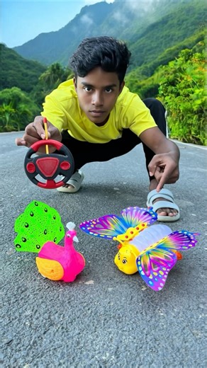 Remote Control 2 Ta Peacock 🦚 And Butterfly 🦋 Unboxing 😍