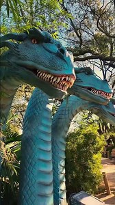Houston Zoo is the Ultimate Summer of Fun Destination