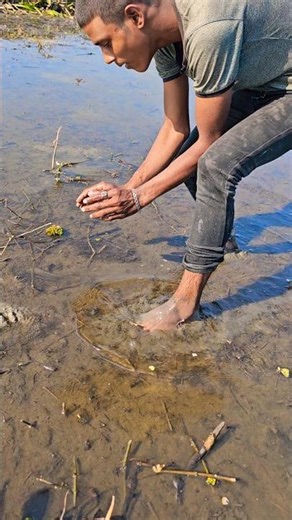 Massive Mudfish Caught by Hand! 😱🐟 | My Village Fishing Life #fishing