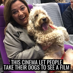 This cinema let people bring their dogs 🐶 | UNILAD