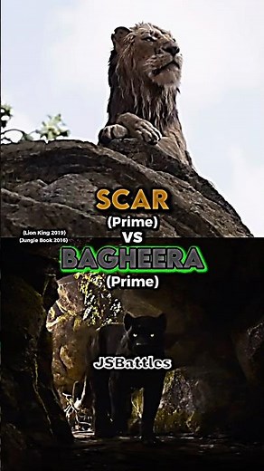 Scar vs Bagheera
