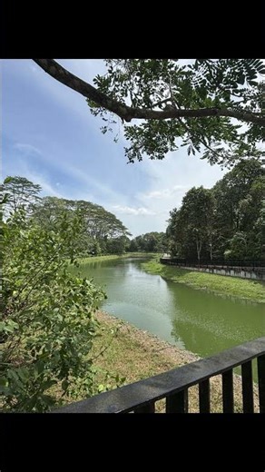 Springleaf Nature Park.
