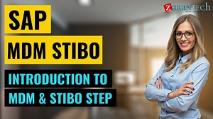 Introduction to MDM & Stibo Step - SAP MDM Stibo Training