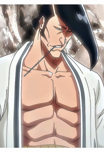 As Nodt Transformation in Bleach Anime