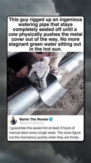 GENIUS FARM HACK SAVES HOURS OF WORK