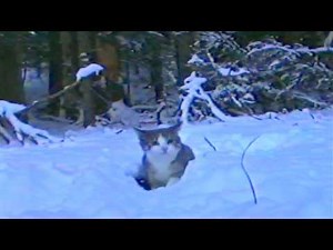 The memory that kept me company