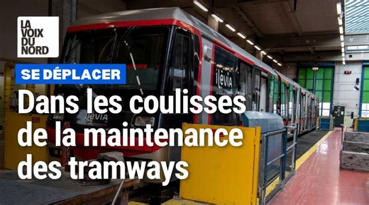 Ilevia : un tramway si particulier