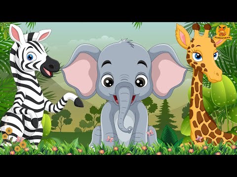Farm Animal Habitats: Zebra, Elephant, Giraffe, Bear, Rabbit, Lemur | Animal Videos