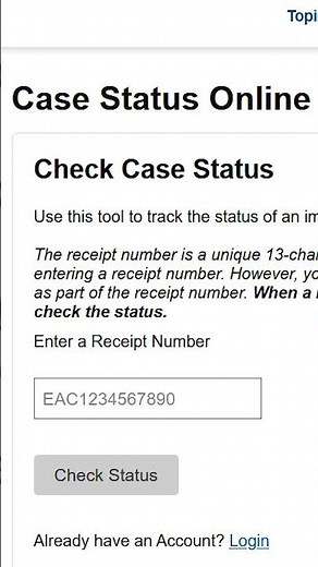 Check Your Immigration Case Safely