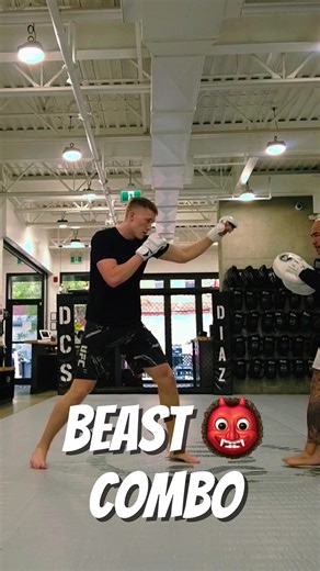The beast👹 combo involves a mix of footwork🦶, stance switching, and level changes!