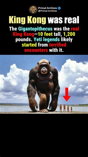 The Real King Kong? Meet Gigantopithecus #shorts