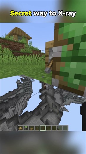 Minecraft Piston X-Ray Trick 😱