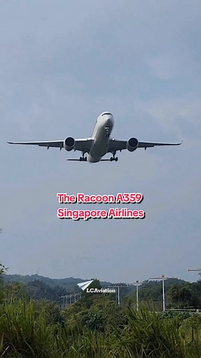 The Racoon A359 by Singapore Airlines 🛬 #singaporeairlines #airbus #airbusa350 #airbusa359 #airbusa350lovers #airbusa350landing #klialandingsightarea #approachingtherunway #aviationlovers #pesawatlanding #aviation #planespotting #airplanelanding #kapalterbang #klialandingview #landingvibes #landingslowmo #slowmotion #airplaneslowmo #slowmo
