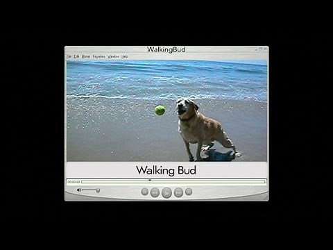 Walking Bud/Regency Television/20th Century Fox Television (2004)