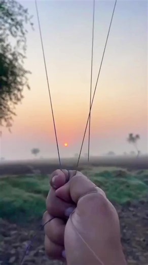 Amazing Kites: Top 5 Kite Designs You Must See
