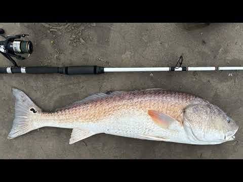 Grand Isle Surf Fishing & More (part 1)
