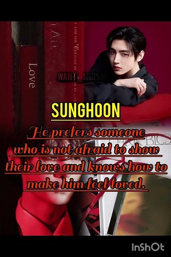 Enhypen members and their ideal Types