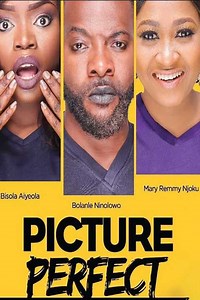 Picture Perfect: Where to Watch, Cast & Trailer