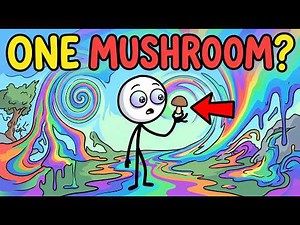 What Do "Shrooms" Really Feel Like?